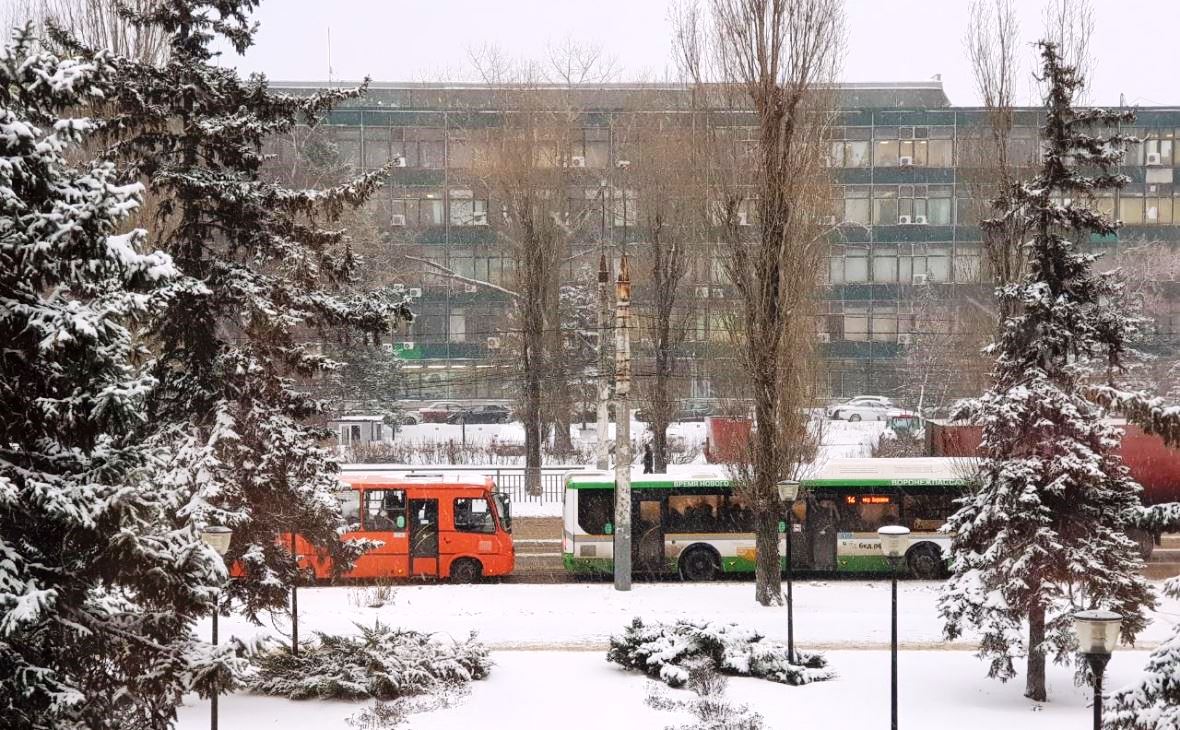 Фото: РБК Черноземье