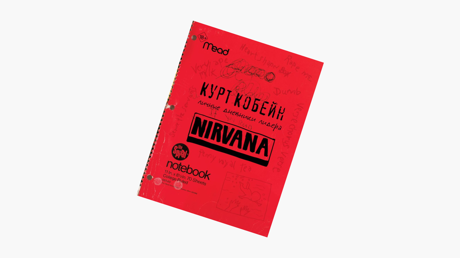 <p>Обложка книги&nbsp;&laquo;Курт Кобейн. Личные дневники лидера Nirvana&raquo;</p>