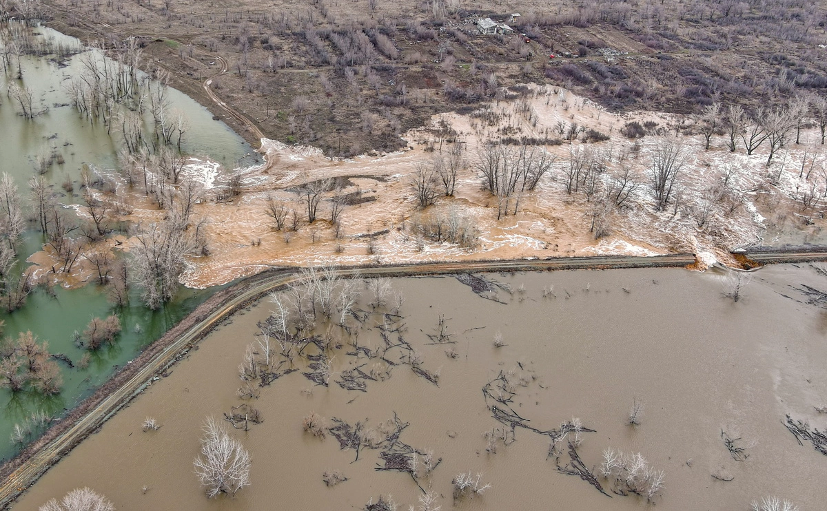 Егор Алеев / ТАСС