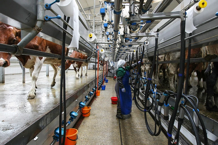 Виталий Тимкив / РИА Новости