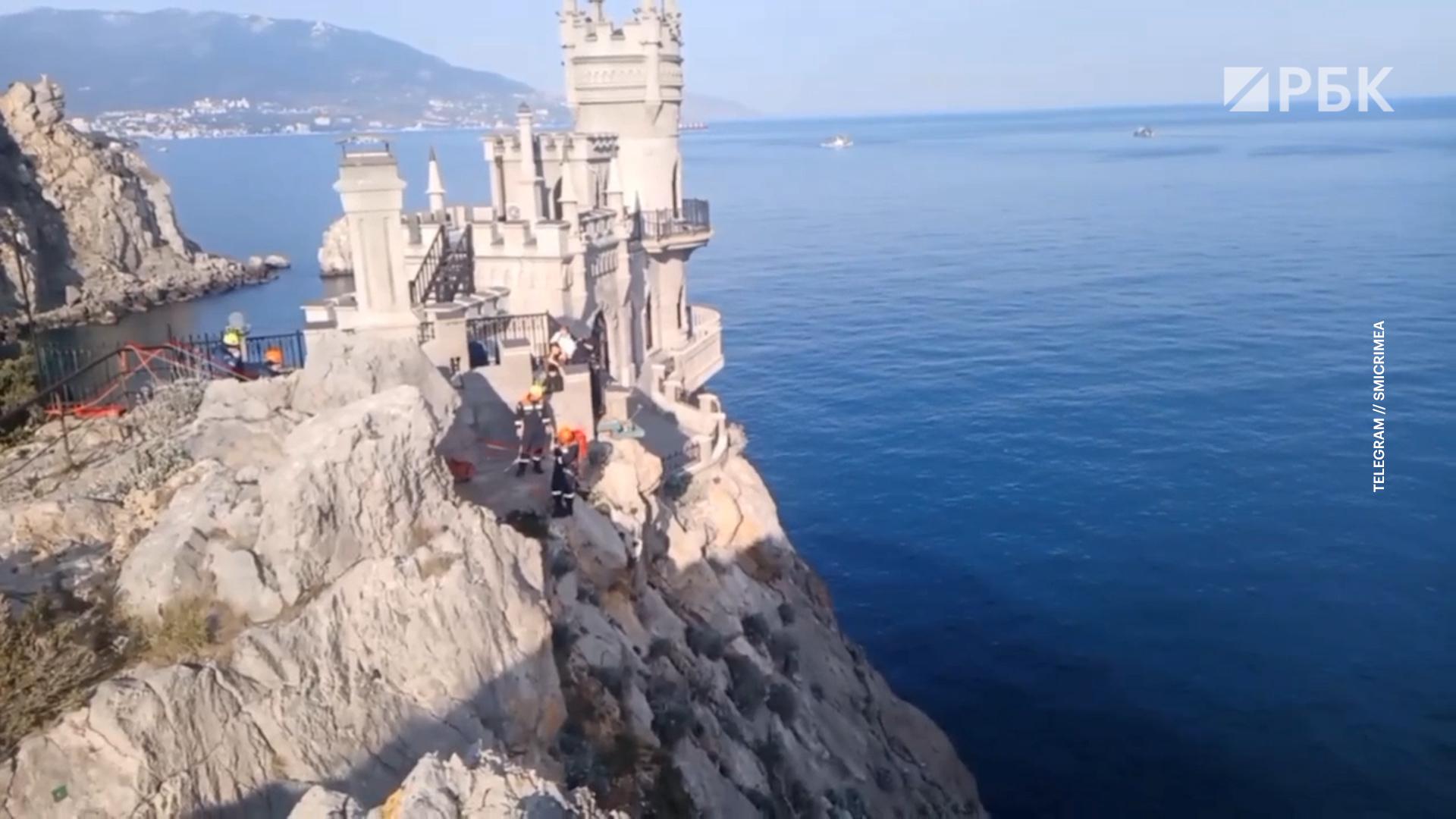 Сотрудники МЧС сняли со скал под «Ласточкиным гнездом» кошку Мусю