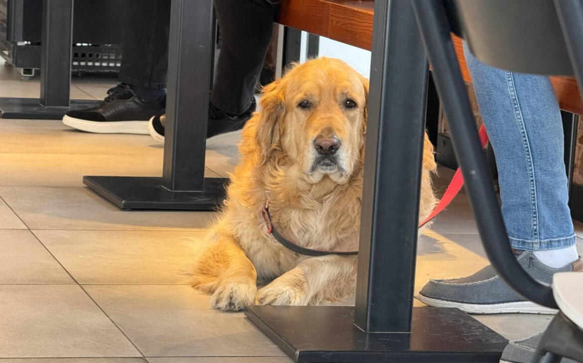 Фото: Татьяна Собослаи / Om1.ru