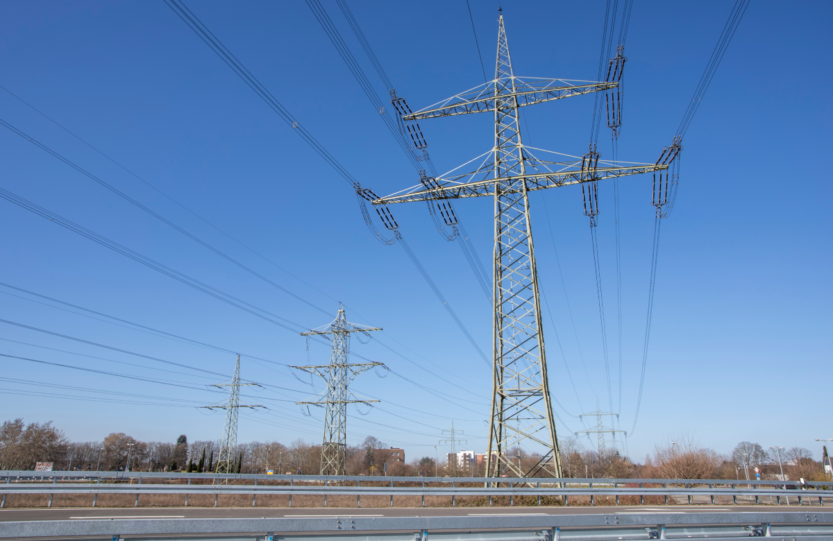 Фото: Shutterstock 