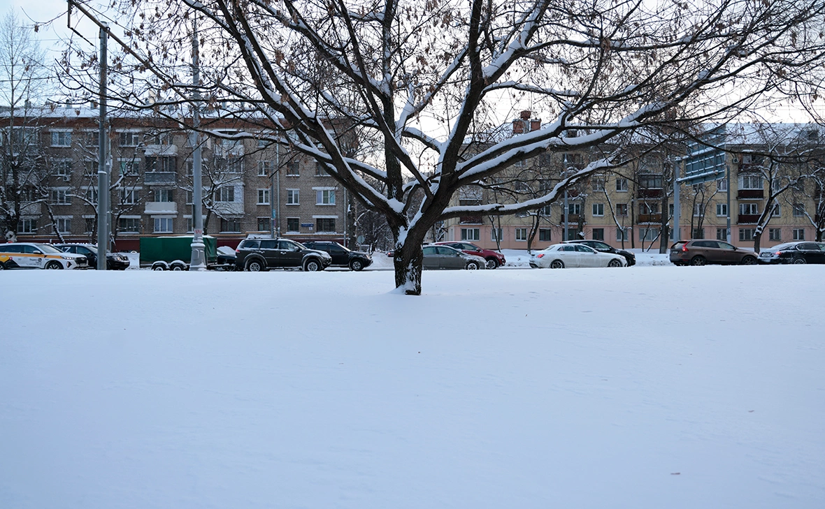 Михаил Гребенщиков / РБК