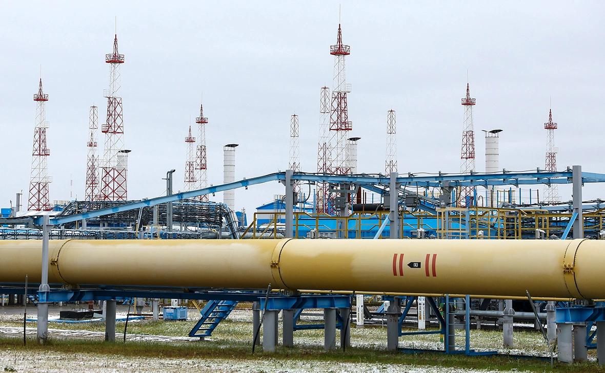 Донат Сорокин / ТАСС