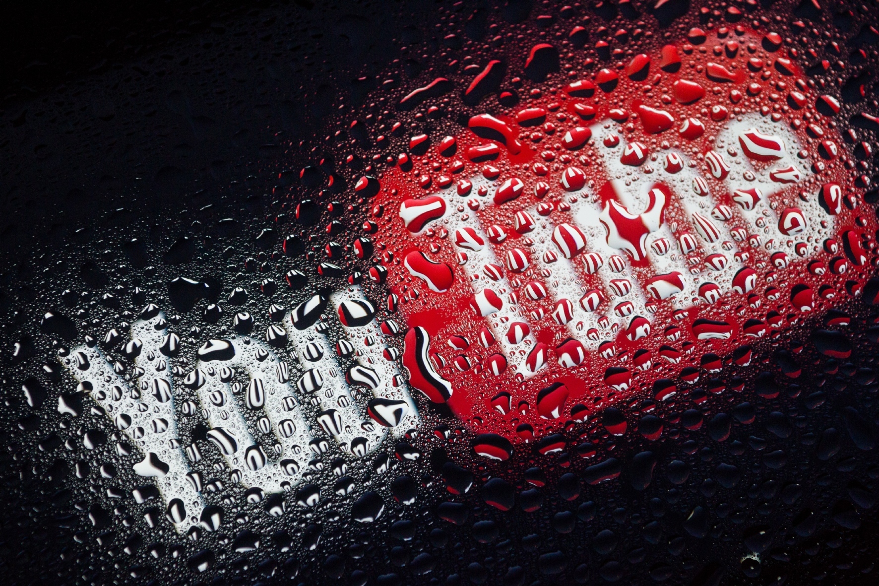 Фото: Ведомости/PhotoXPress.ru