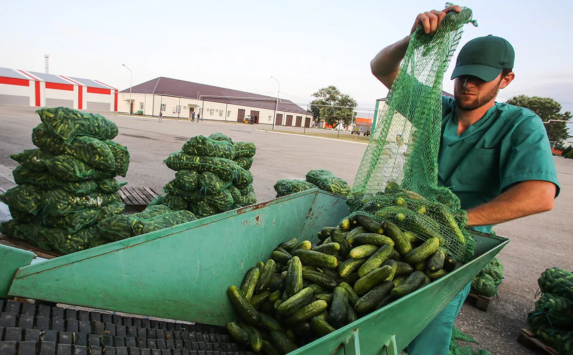 Денис Абрамов / ТАСС