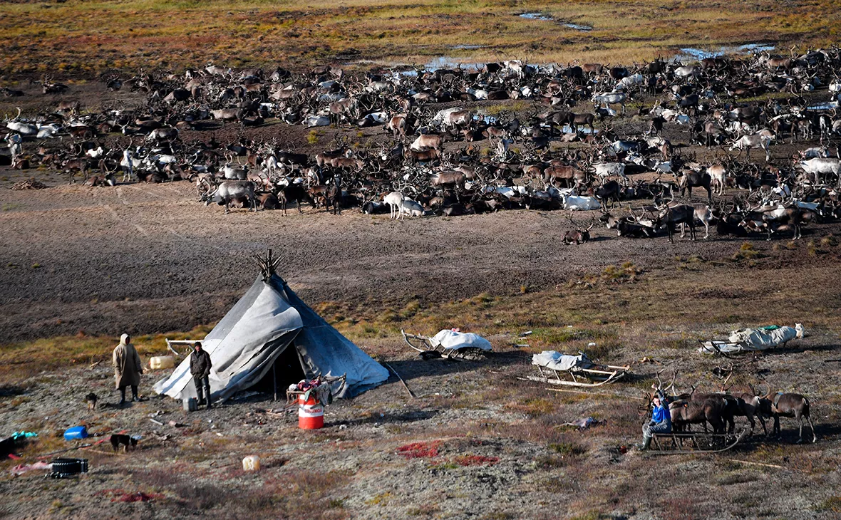 Павел Лисицын / РИА Новости