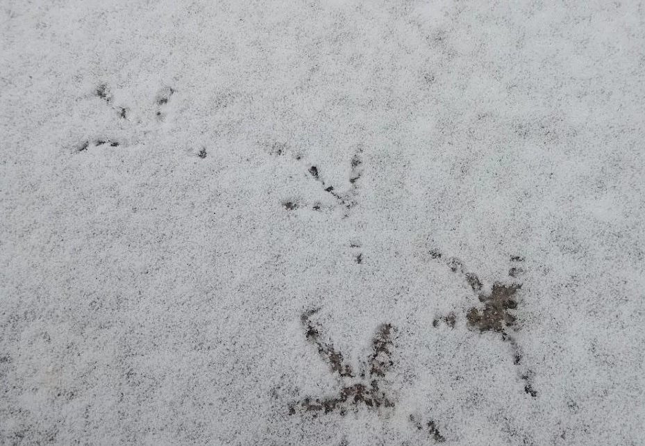 РБК Приморье