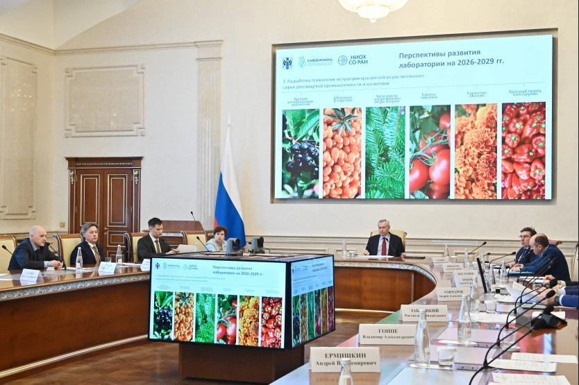 Пресс-служба правительства Новосибирской области