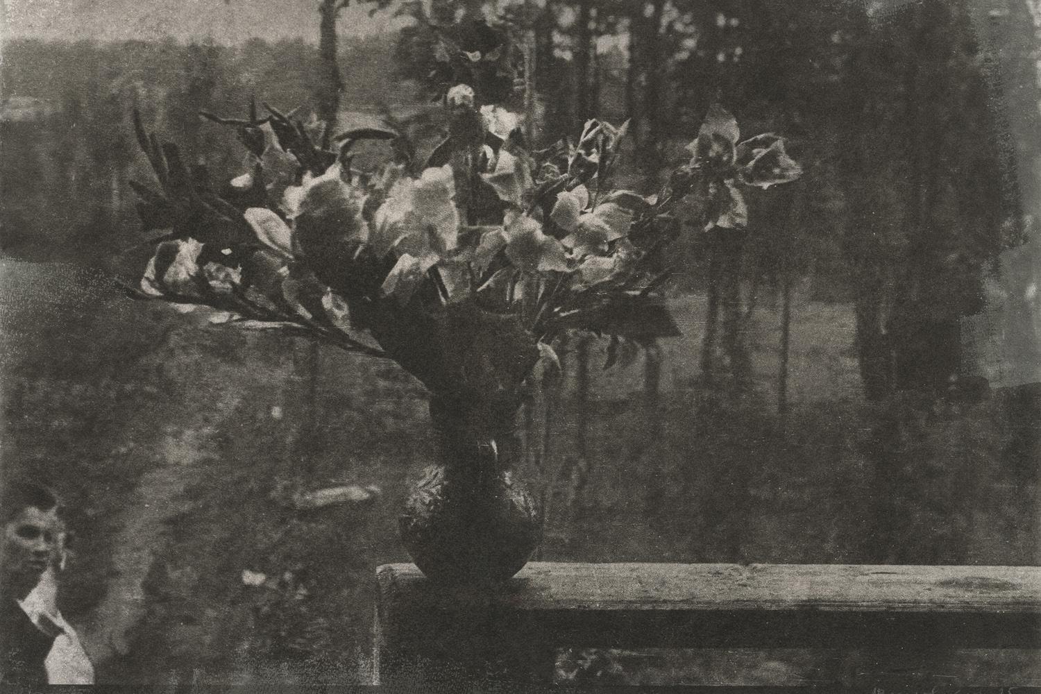 Алексей Веселовский. &laquo;Ирисы&raquo;,&nbsp;1937