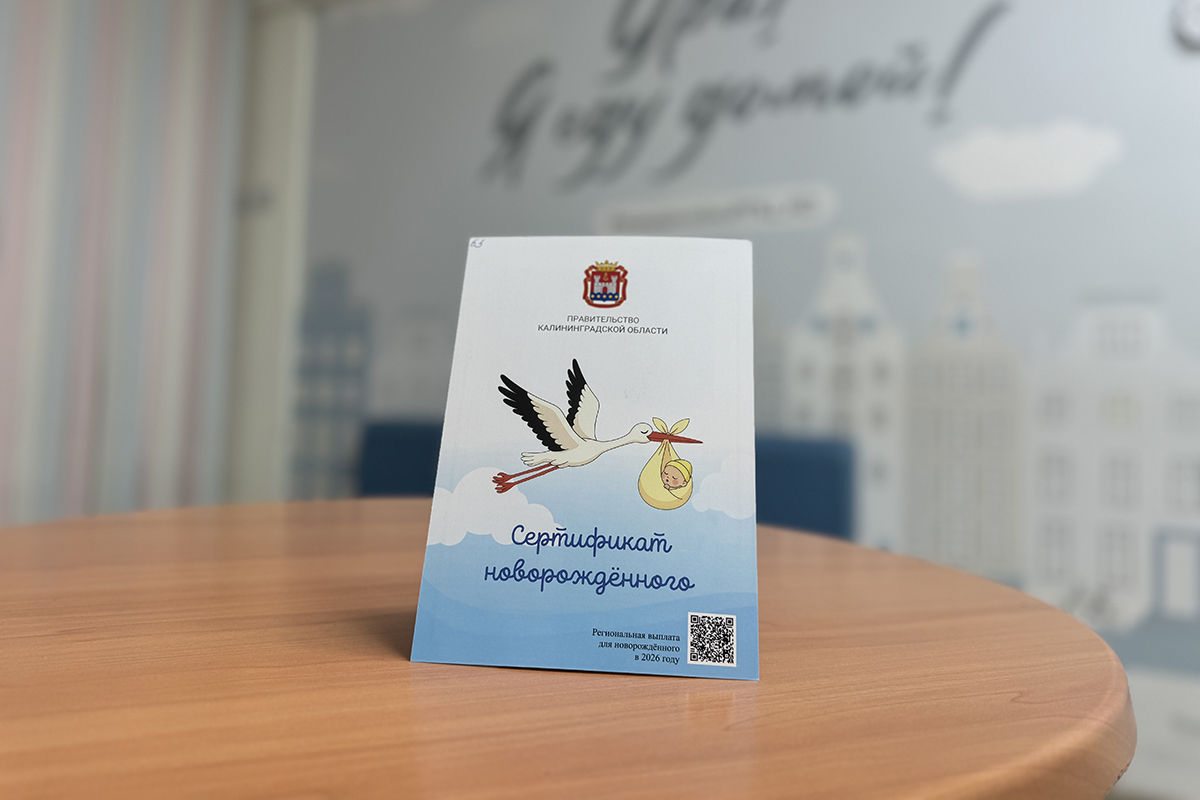 Фото: пресс-служба правительства КО