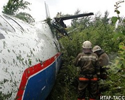 Разбившийся в Ленобласти самолет столкнулся с опорой ЛЭП
