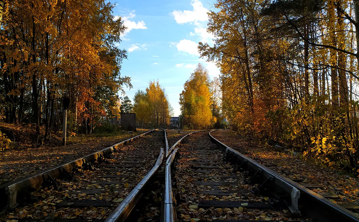 Максим Константинов / Global Look Press