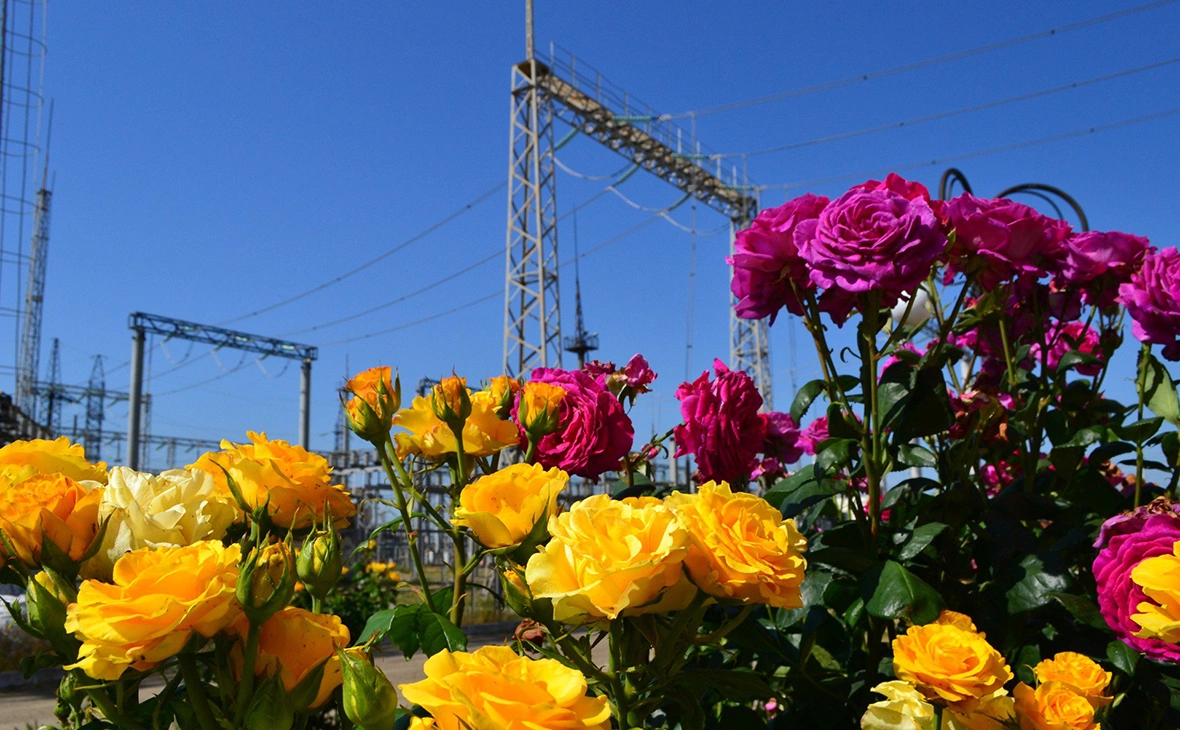 Ukrenergo / Telegram