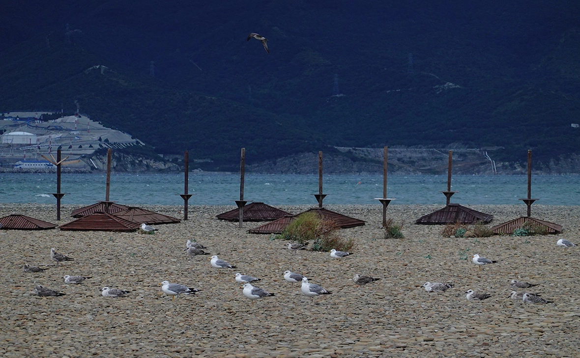 Алексей Зотов / ТАСС