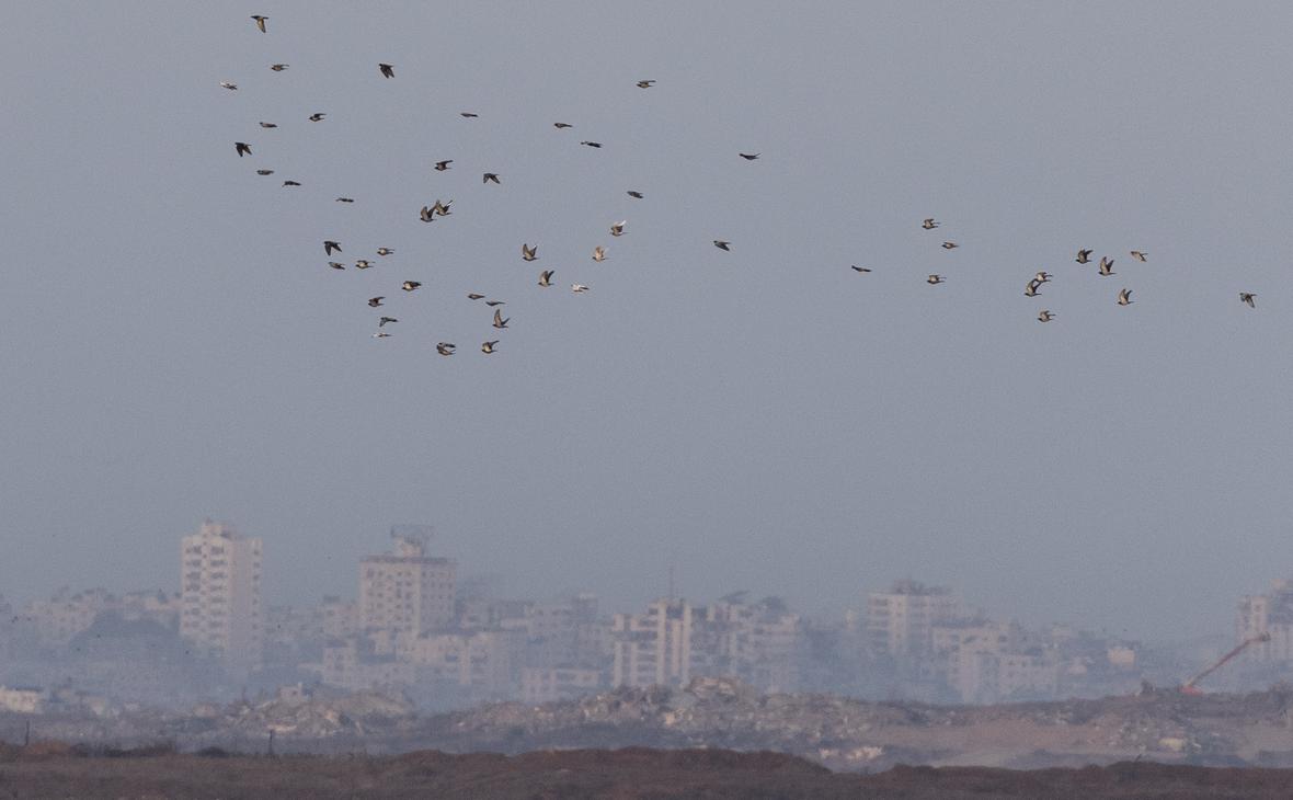 Фото: Amir Levy / Getty Images