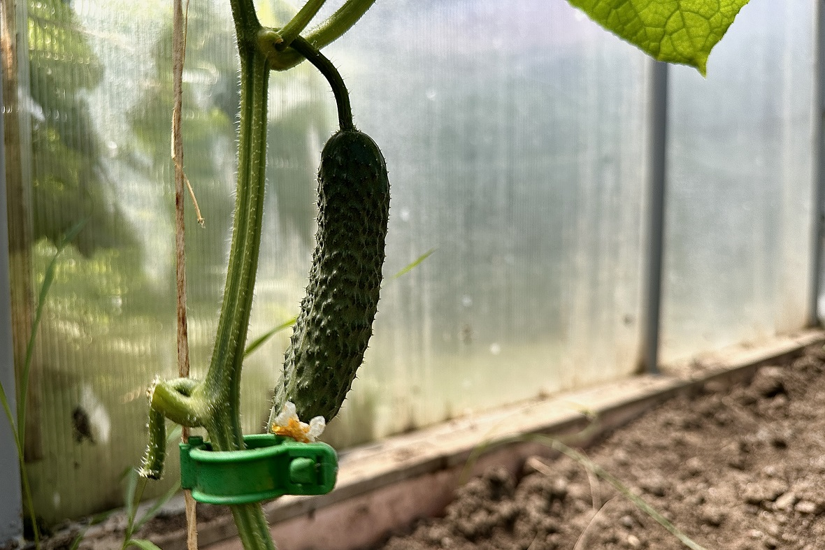 Фото: Бизнес и точка