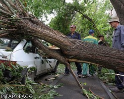 Ураганы обесточили около полутора тысяч населенных пунктов РФ