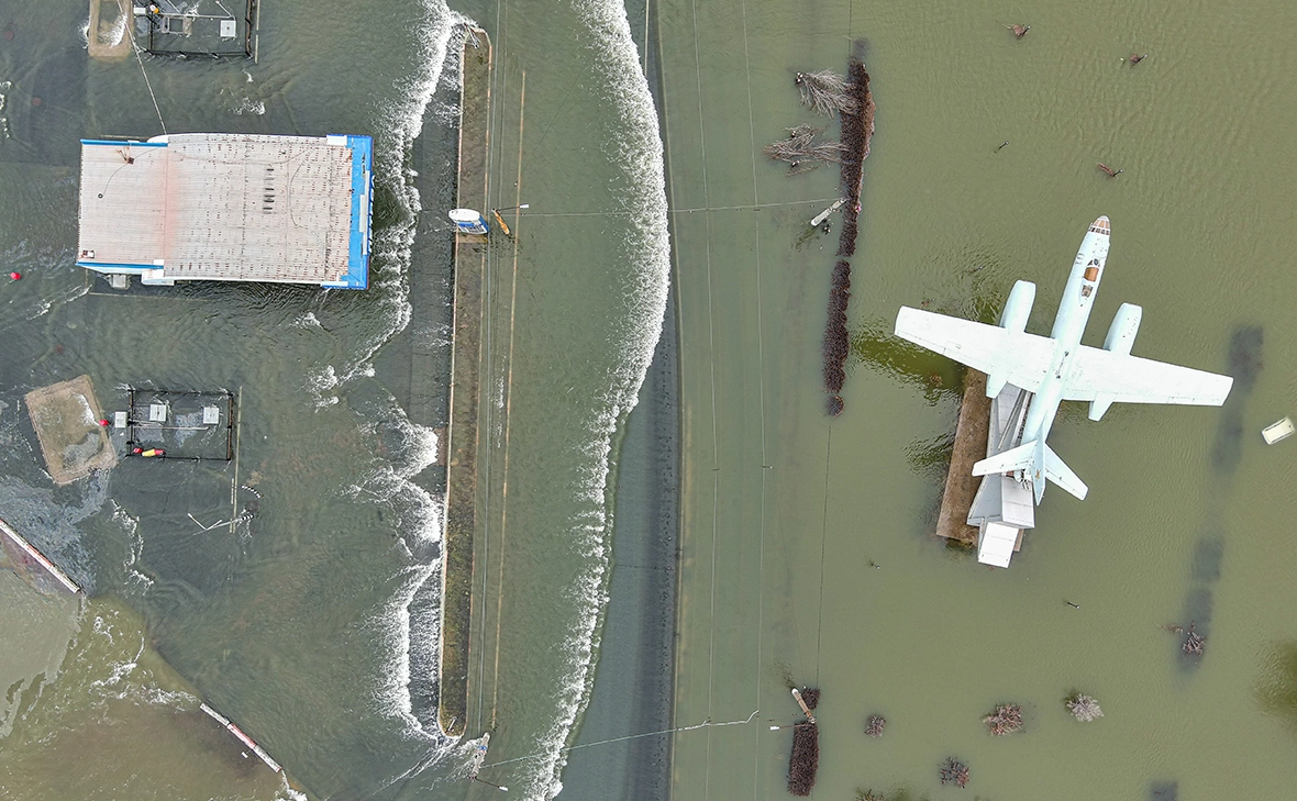 Егор Алеев / ТАСС