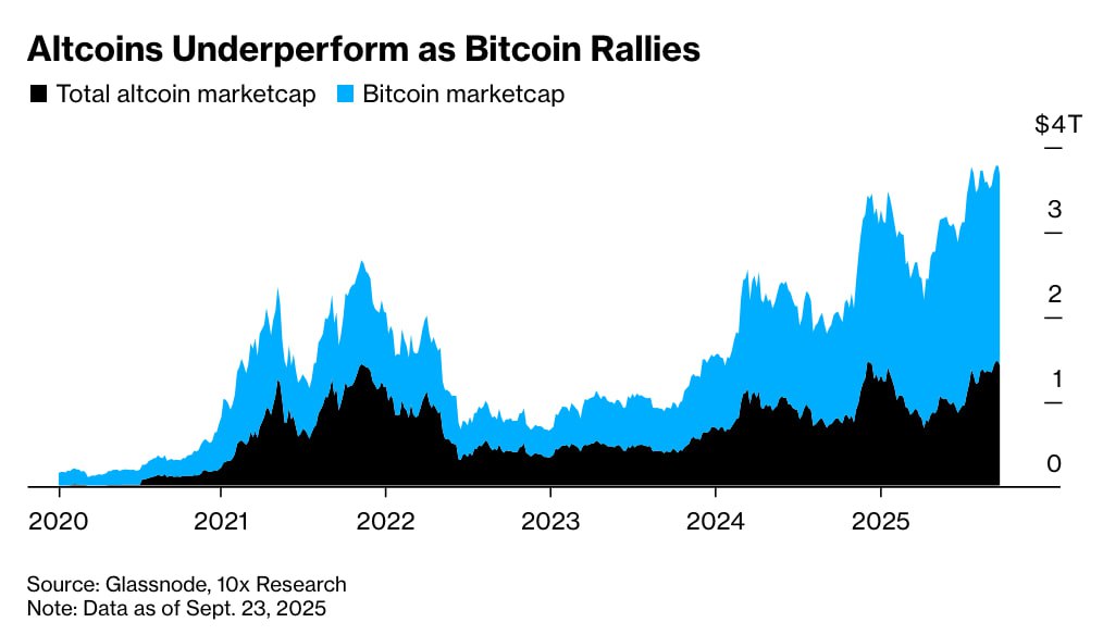 Сравнение капитализации биткоина и рынка альткоинов от 10x Research. Источник: Bloomberg