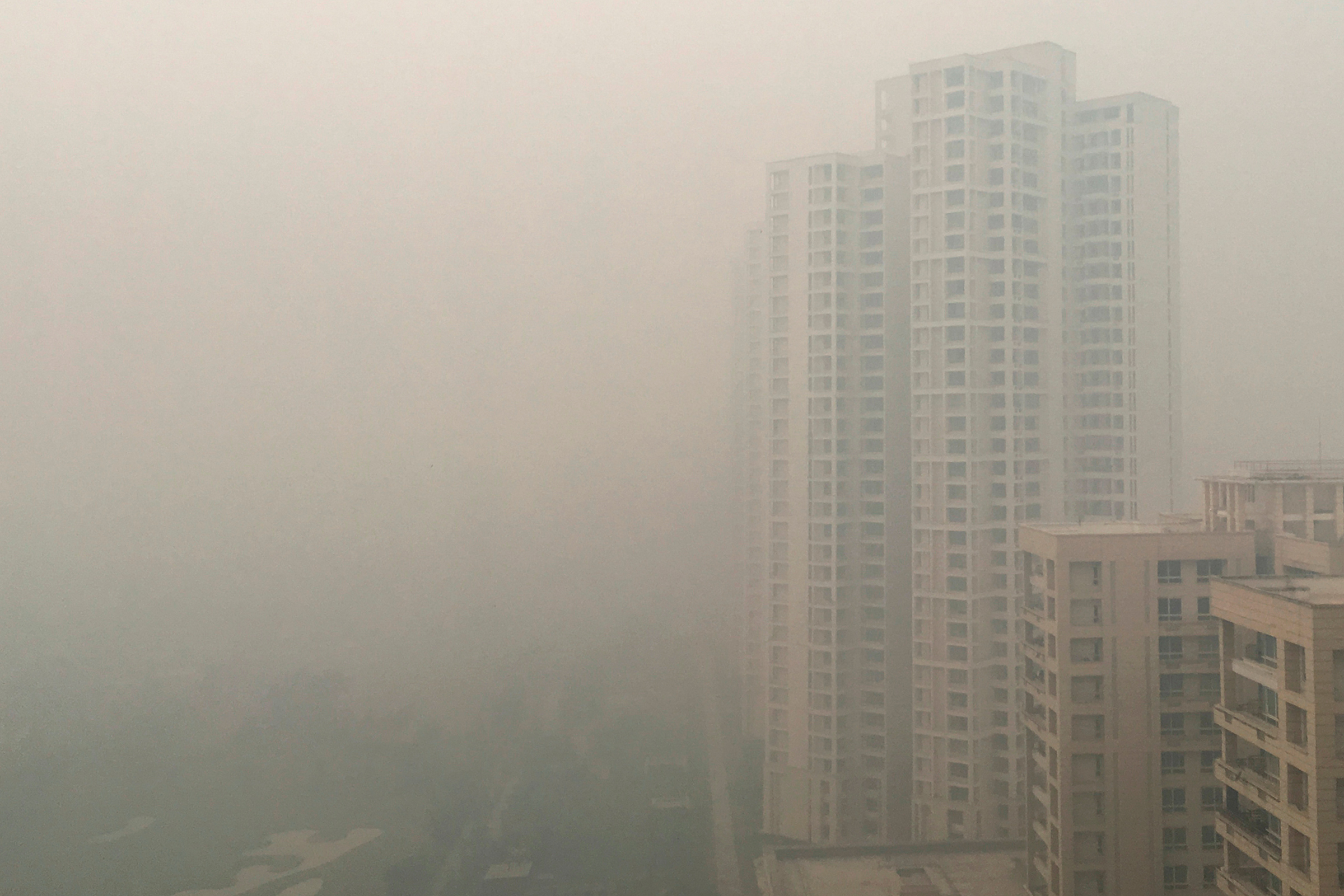 В 2016 году уровень загрязнения воздуха в Нью-Дели был признан самым высоким с начала 2000-х
