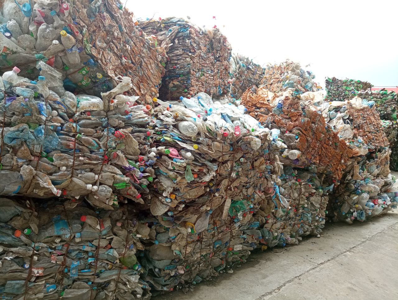 Фото: РБК Приморье