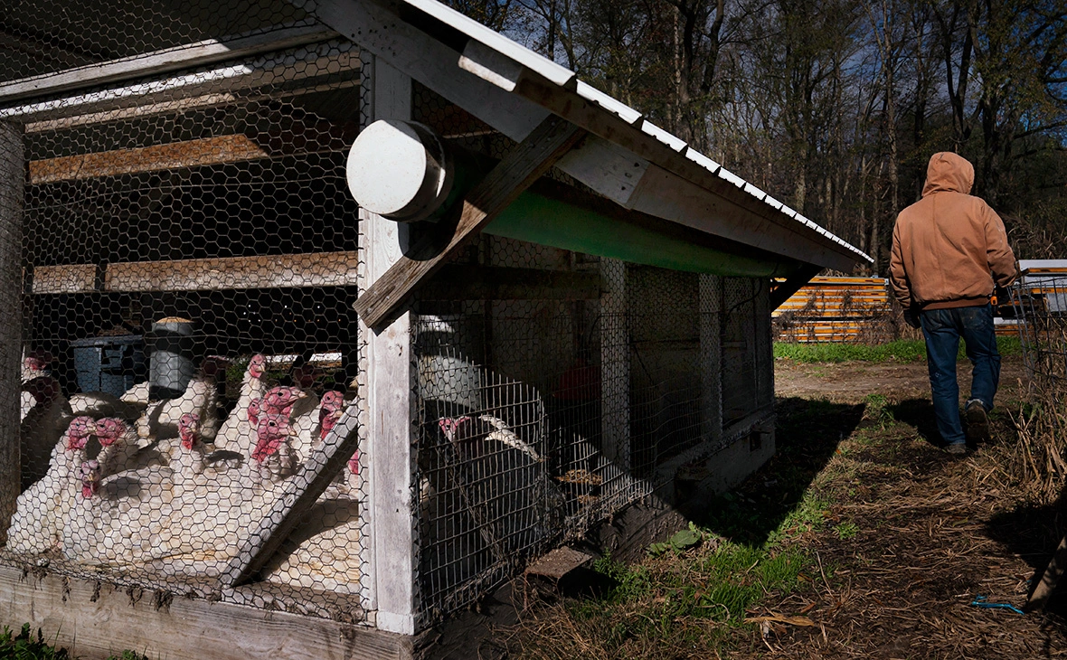 Nathan Howard / Getty Images