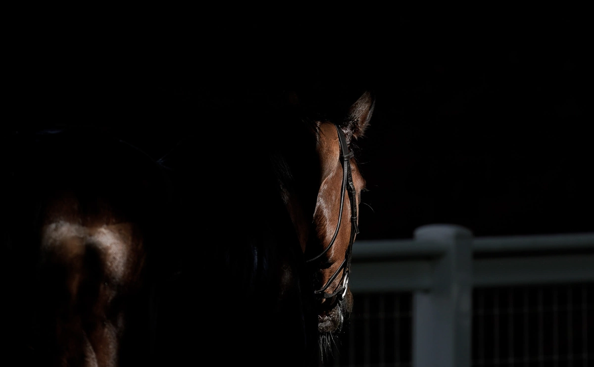 Alan Crowhurst / Getty Images