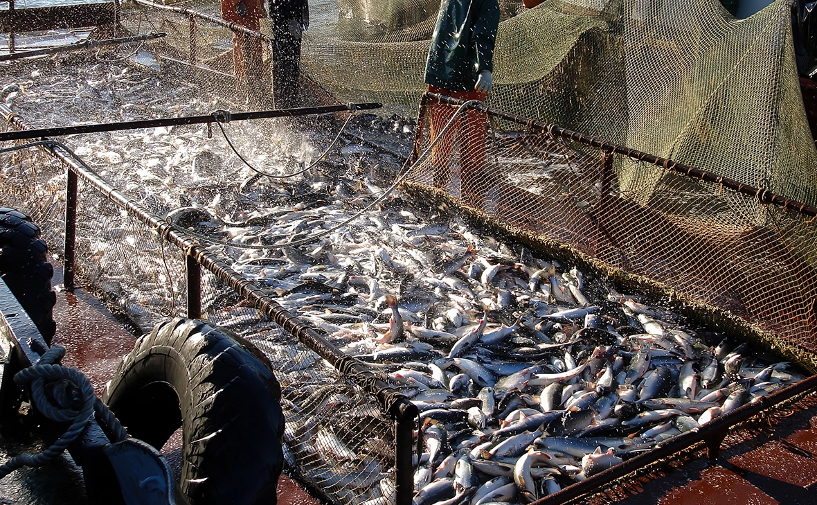 Stas Makes Content / Shutterstock