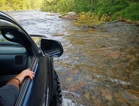 РБК Приморье