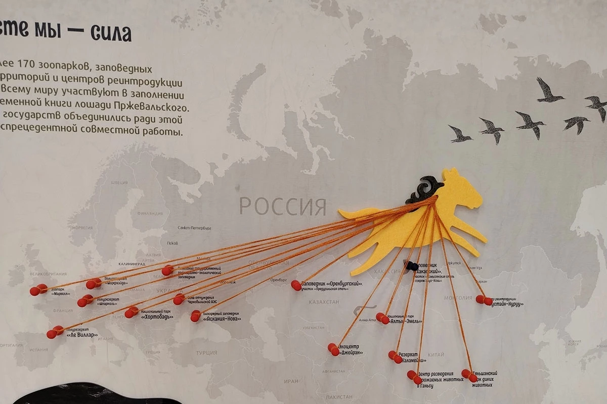 В России появятся новые центры реабилитации диких животных. Подробности