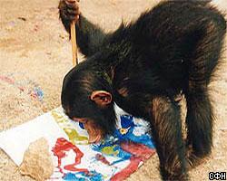 Шимпанзе “надула” искусствоведов 