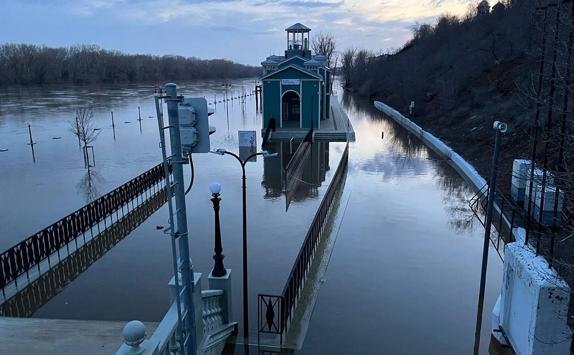 Мария Лисицына / РБК