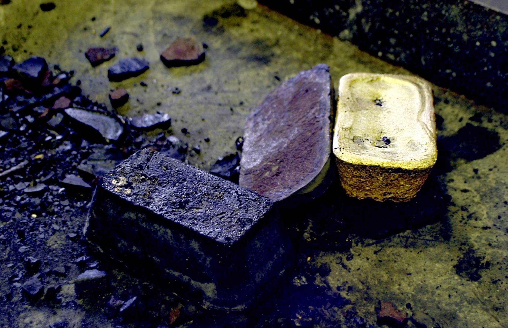 Фото: Наталья Колесникова / PhotoXPress.ru