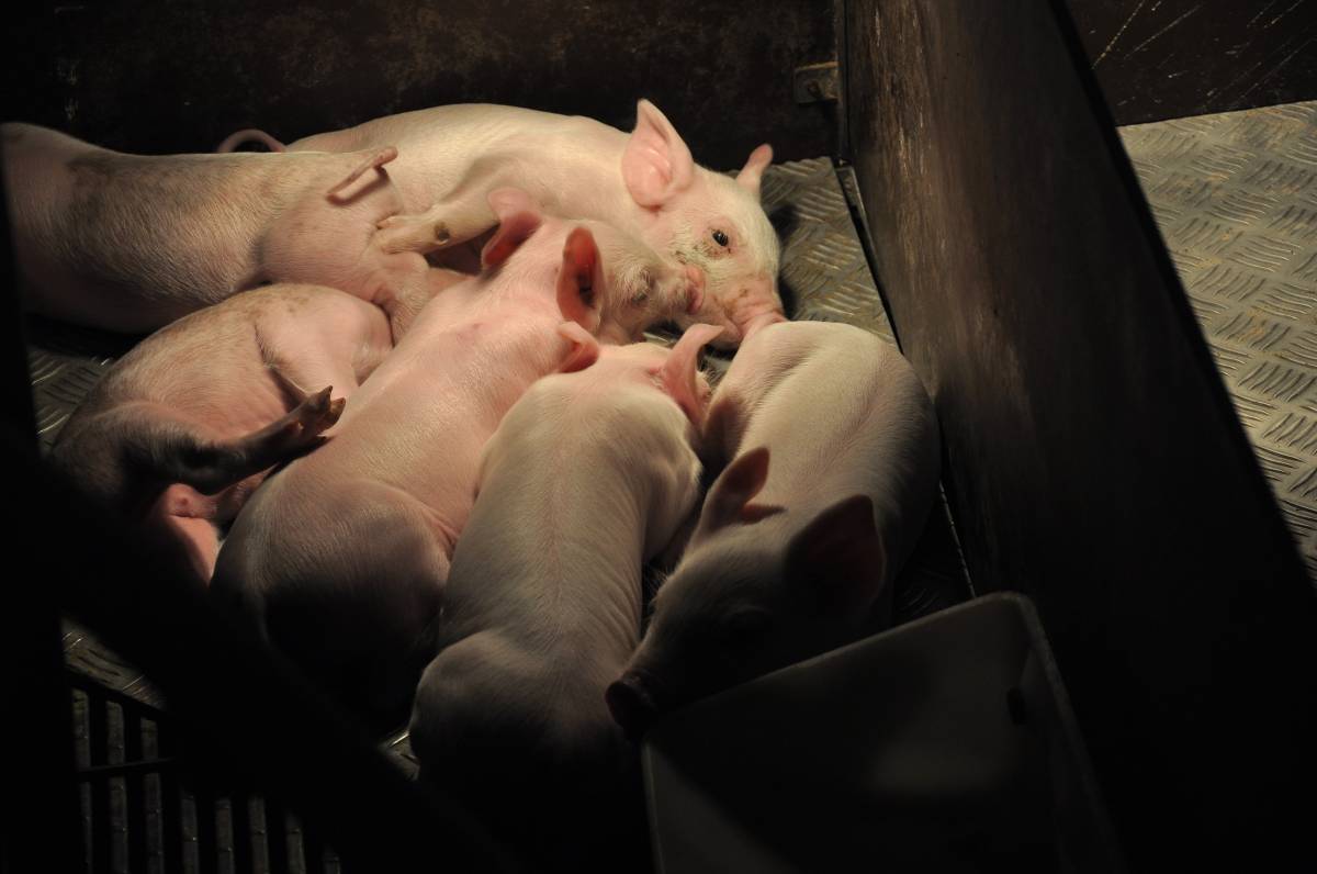 35 вологжан получили по 200 тыс. рублей на открытие собственного дела