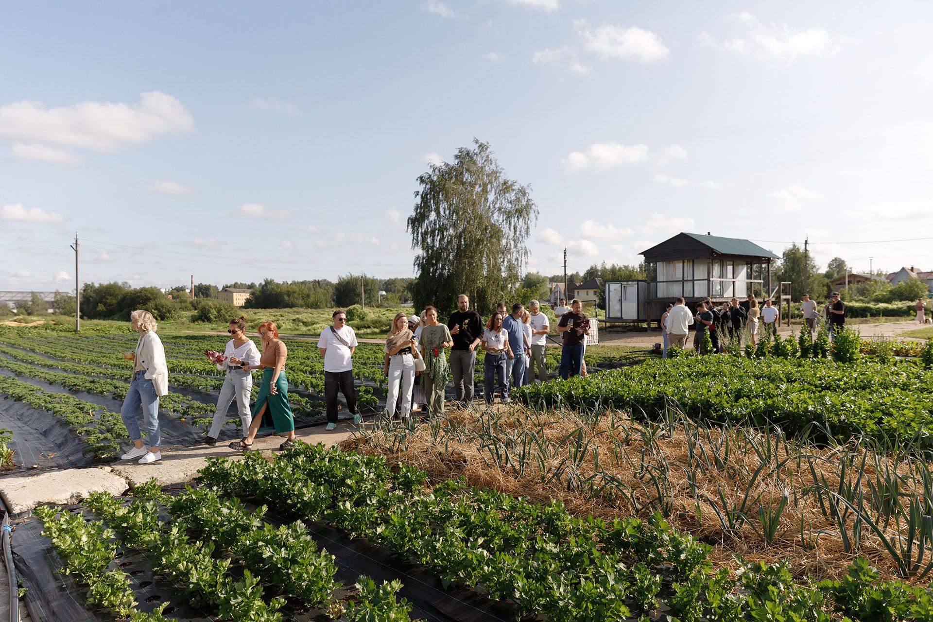 Гастрономический ужин в поле для гостей проекта &laquo;Жажда крови&raquo;
