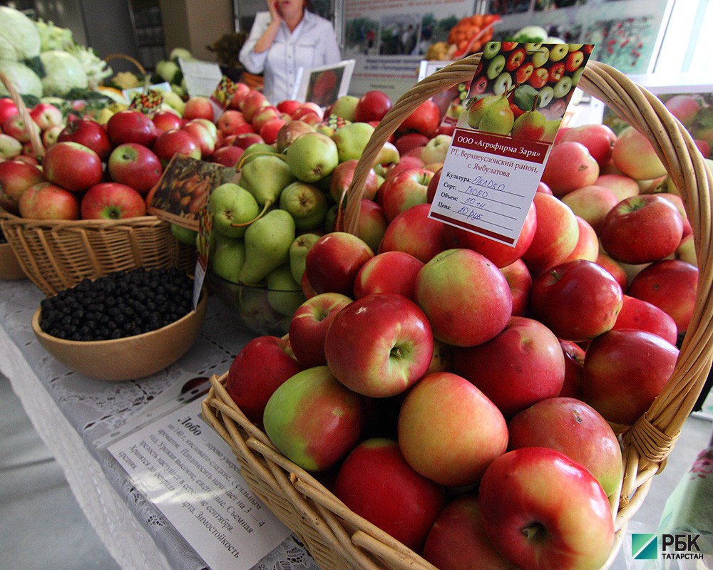 Выставка продукции сельхозпроизводителей  республики.