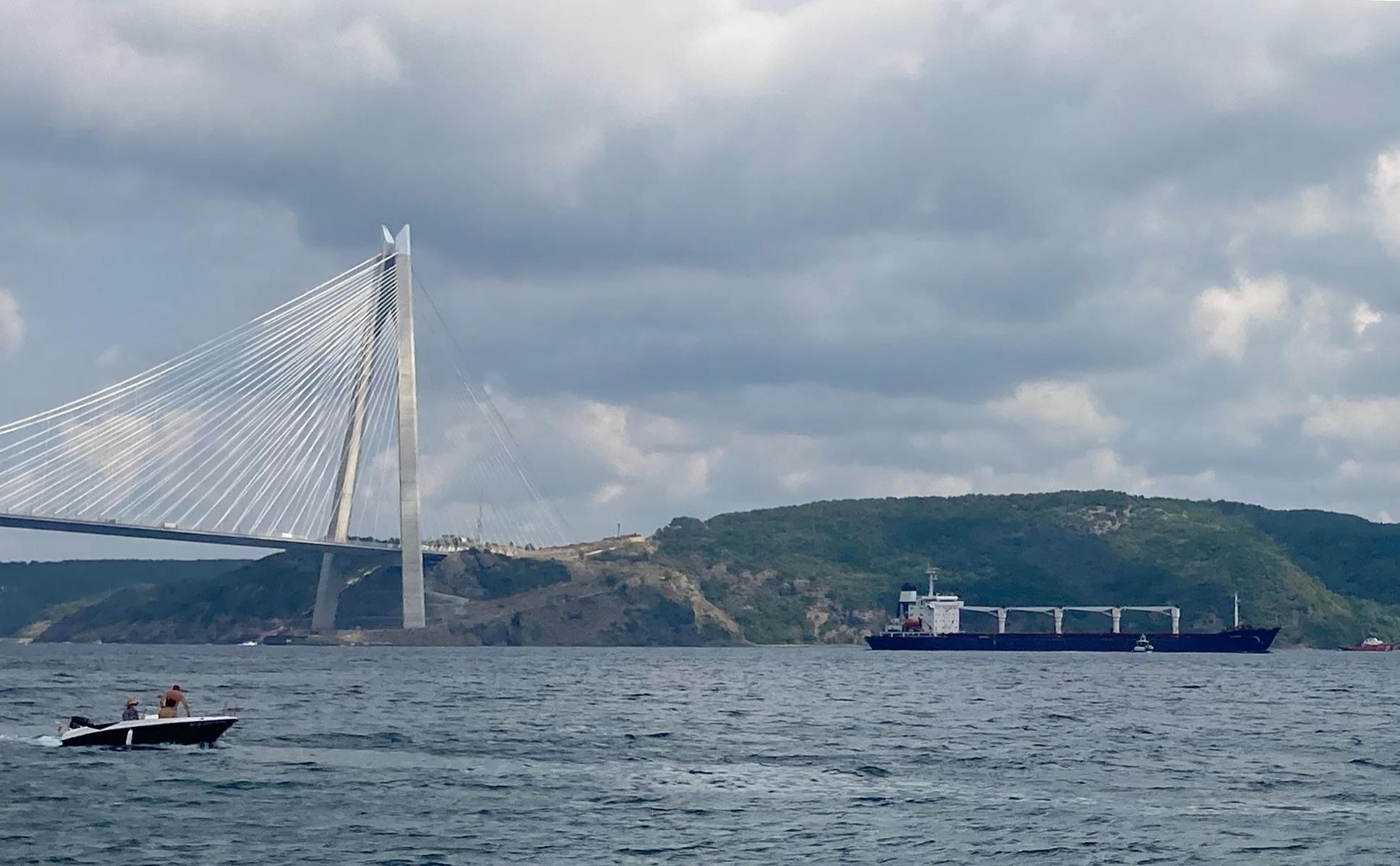 Киев анонсировал отправку еще трех судов с зерном из украинских портов"/>













