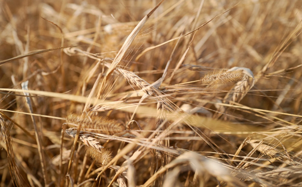 Pierre Crom / Getty Images