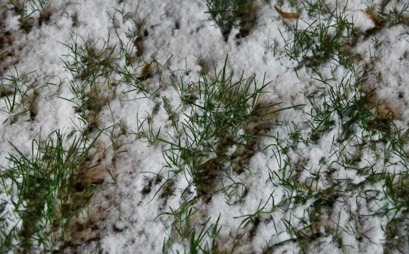 Фото: Игорь Иванко / АГН «Москва»