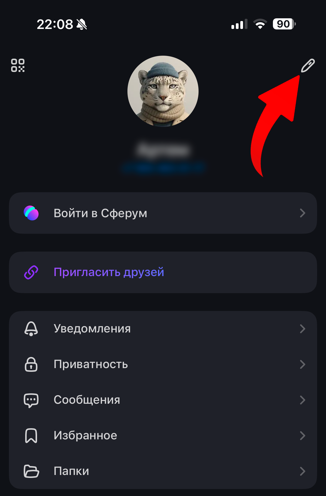 Cмена аватарки в мессенджере MAX на iPhone