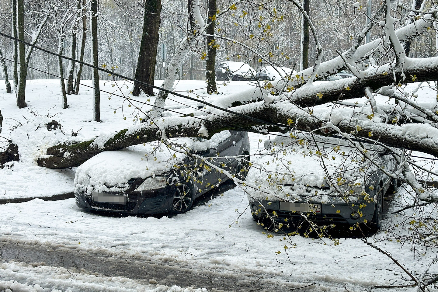 Фото: Мобильный репортер / Агентство «Москва»