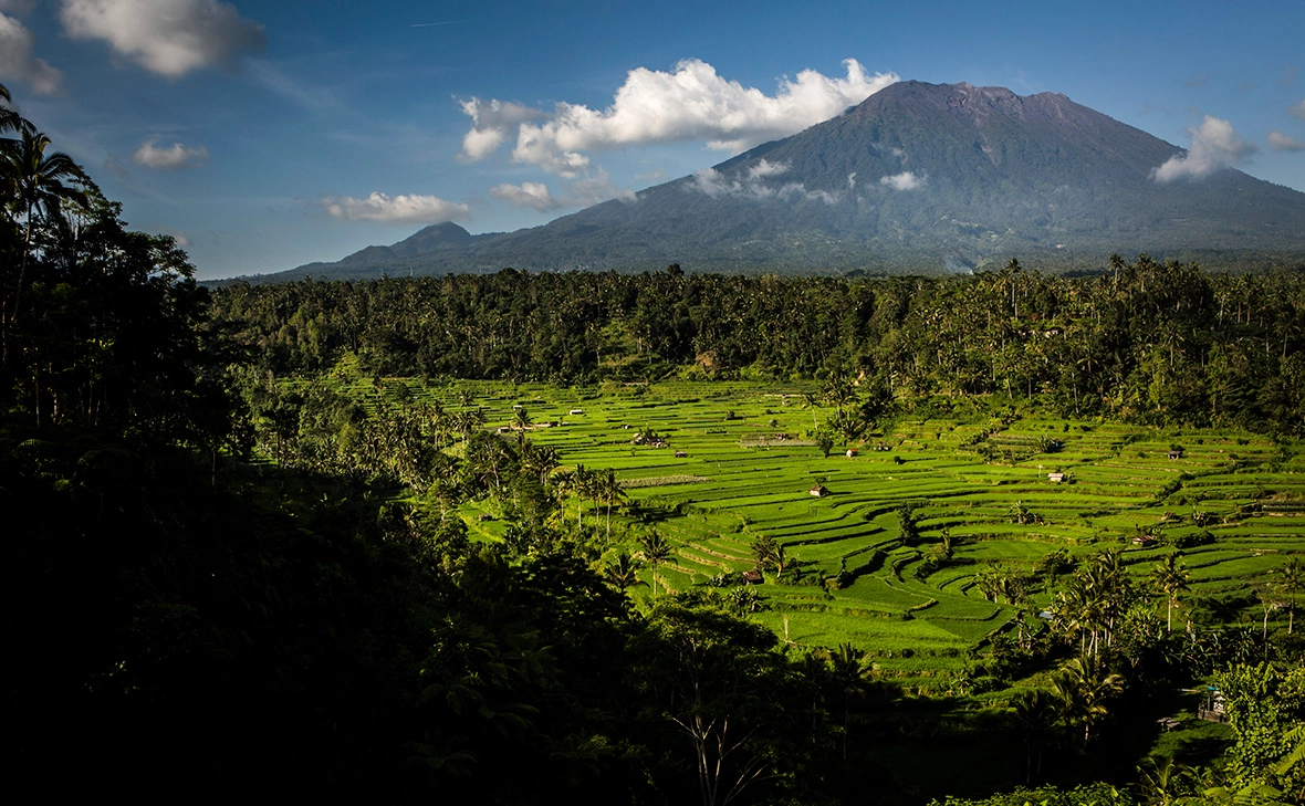 Ulet Ifansasti / Getty Images