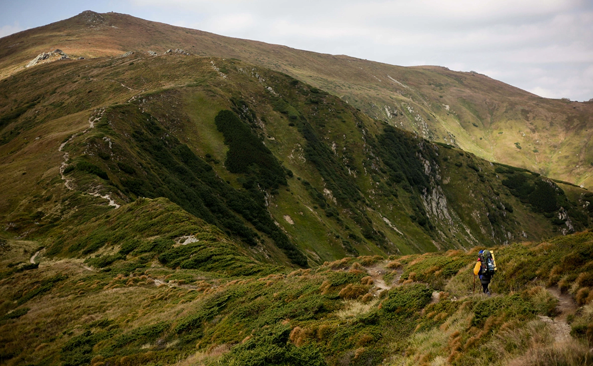 Nazar Furyk / ZUMAPRESS.com / Global Look Press