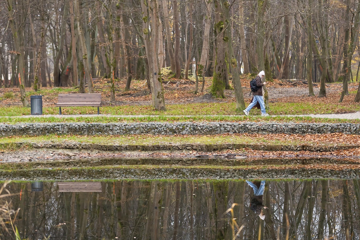 Александр Подгорчук