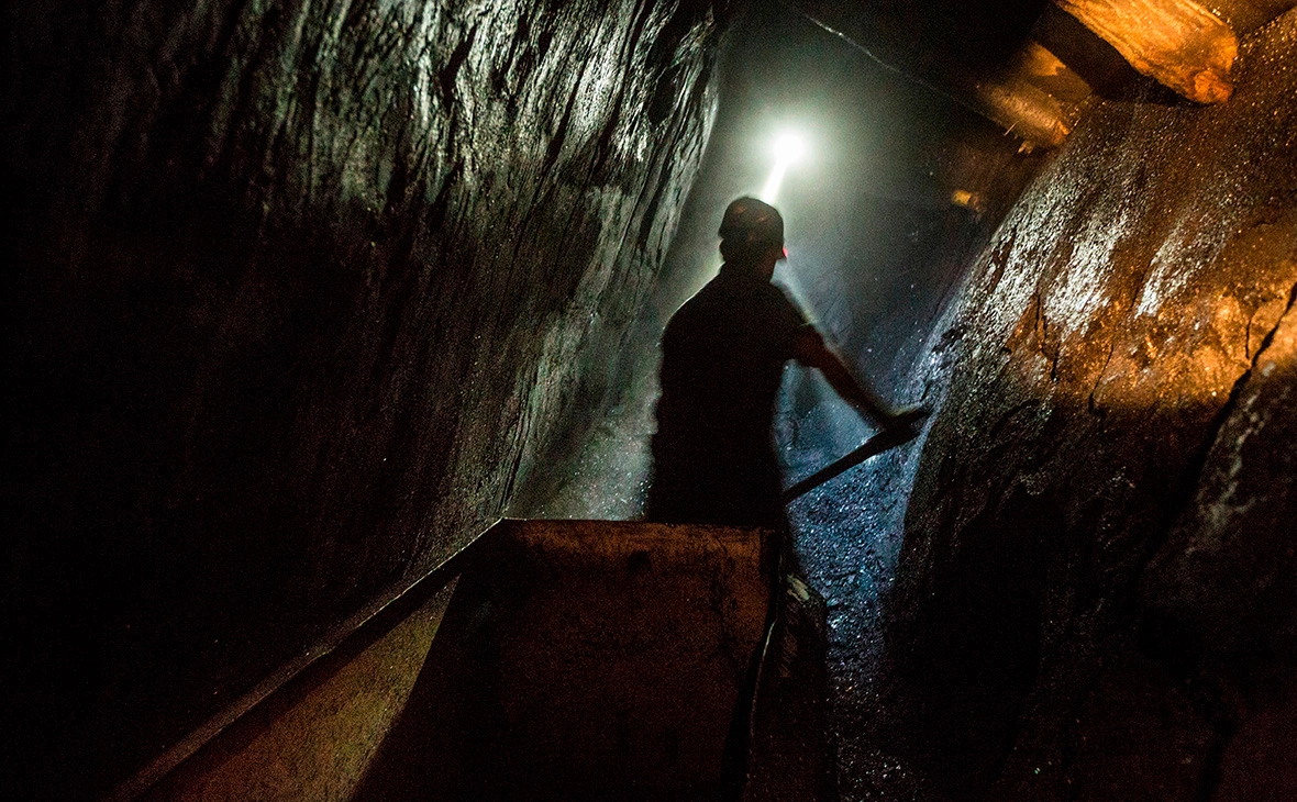 ironwas / Shutterstock