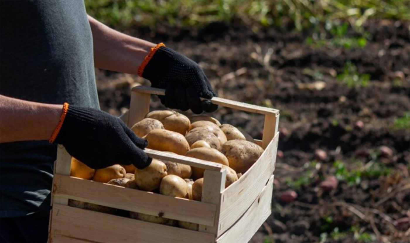 Фото: ru.freepik.com, anuta23