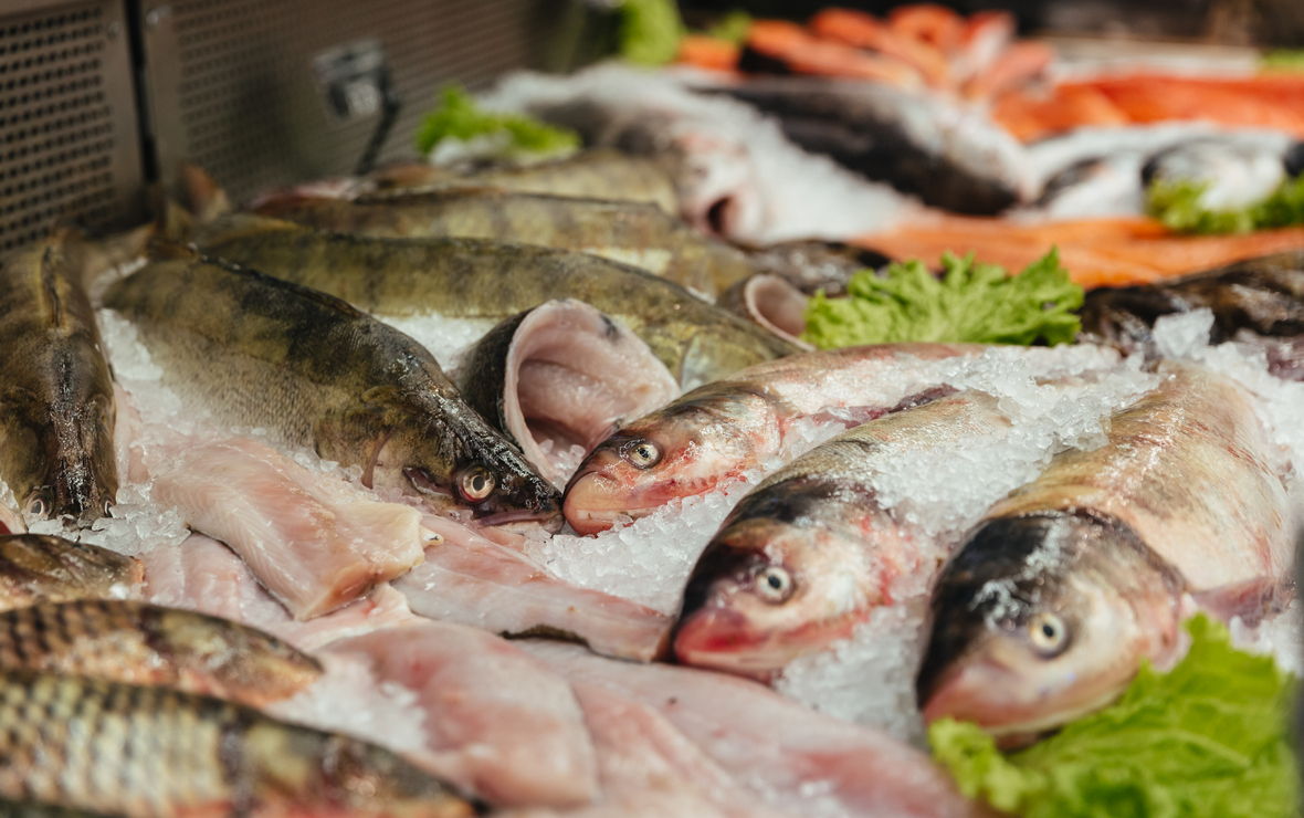 В Северной Осетии нарастили производство товарной рыбы в 1,5 раза в 2023г