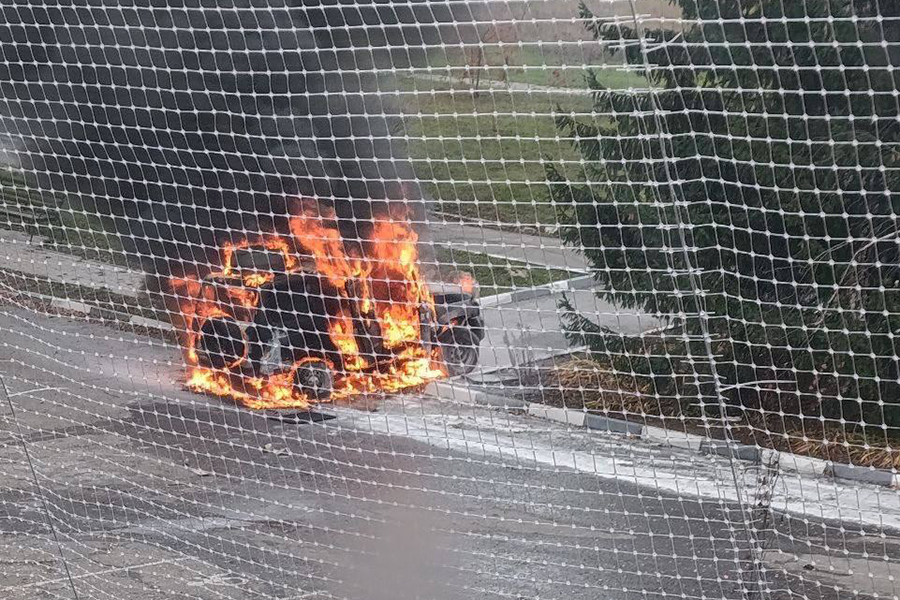 Фото: vvgladkov / Telegram